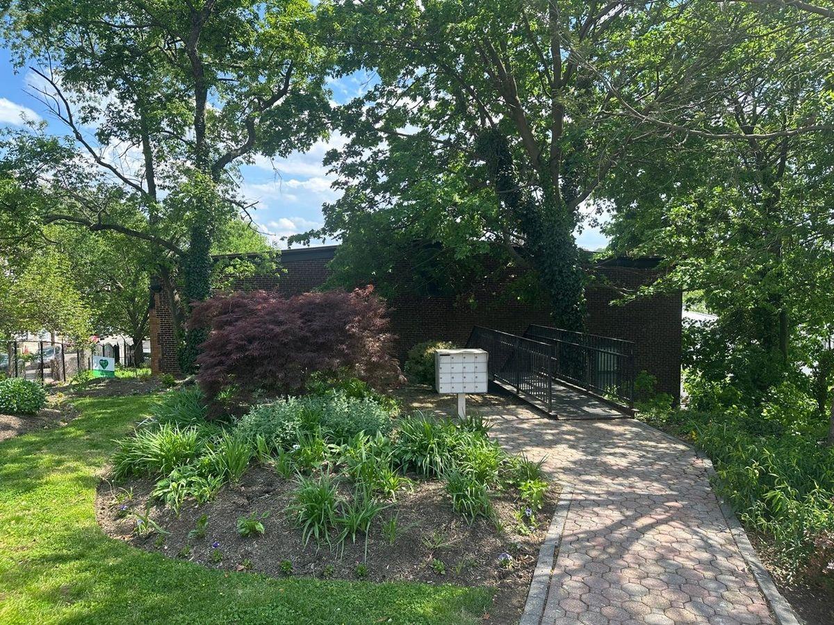 Japanese maple garden grounds and walkway at Cotton Hill